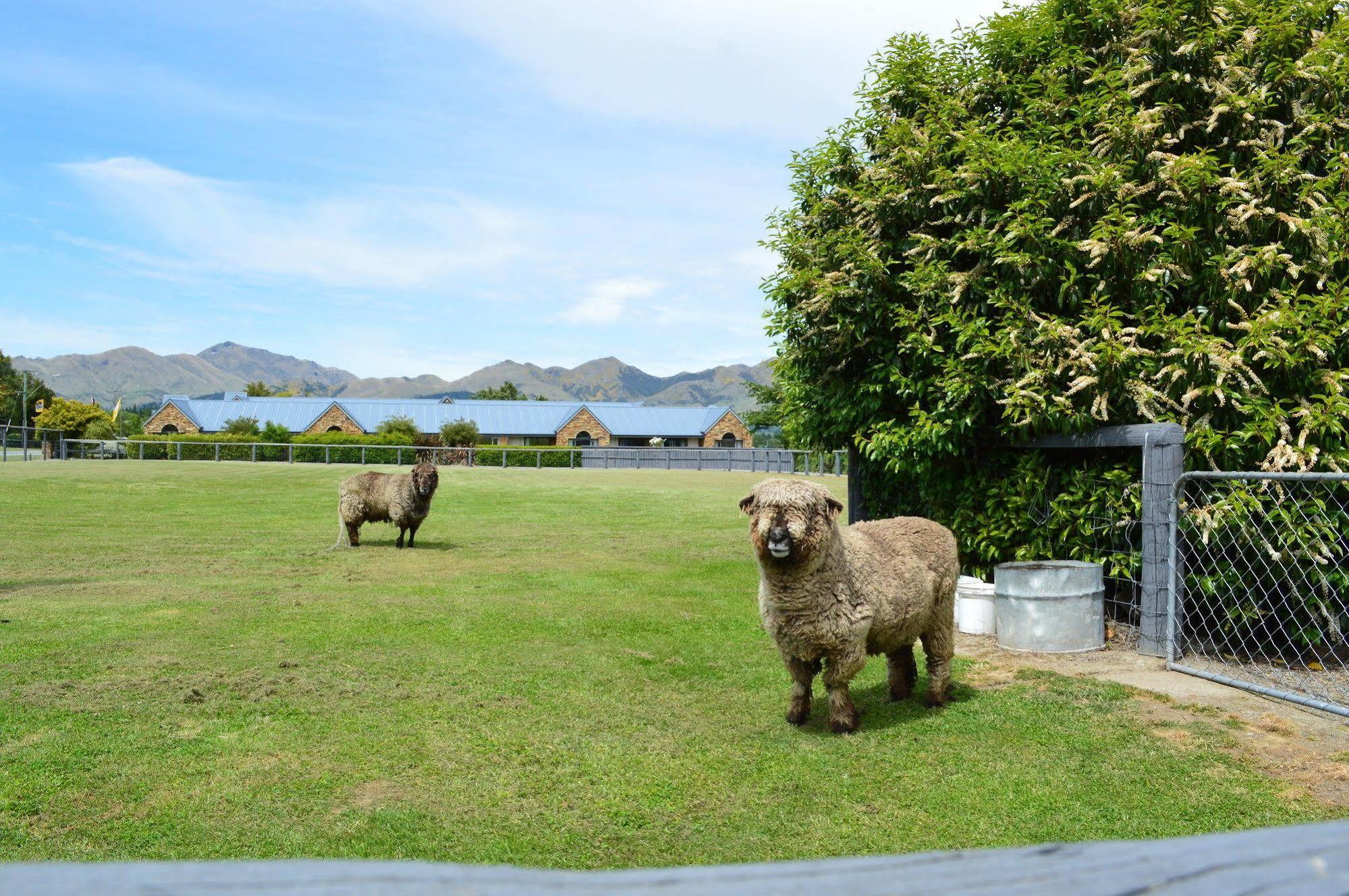 汉默温泉 阿姆利旅馆汽车旅馆 外观 照片